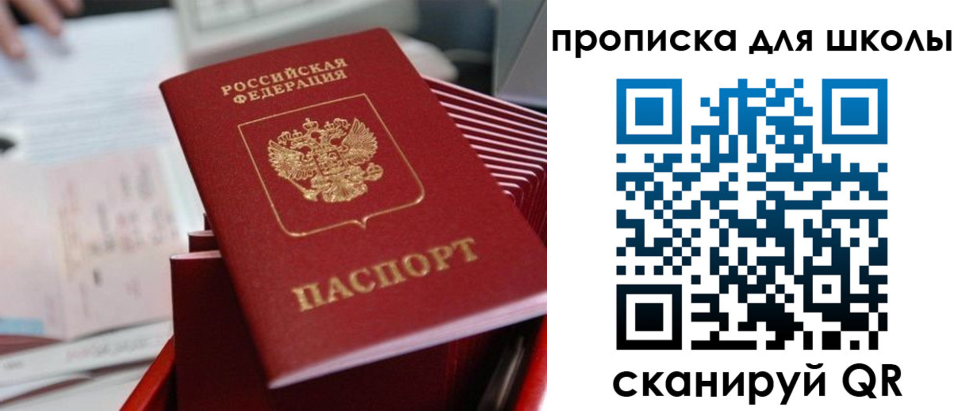 прописка для школы в Сольцах